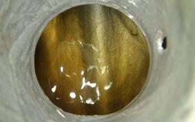 SUZUKI GT380 2019 NGT380