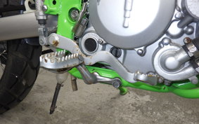 KAWASAKI KLX250 Gen.2 2023 LX250S