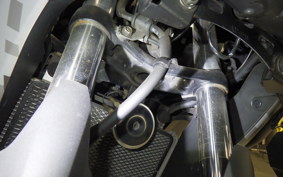 KAWASAKI VERSYS X250Aﾂｱﾗｰ 2022 LE250D