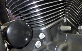 HARLEY FXLRST1920 2024