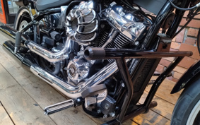 HARLEY FXBRS 2021 YHK