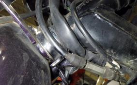 HONDA MONKEY 2024 Z50J