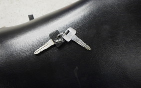 YAMAHA RZ250R 2019 29L