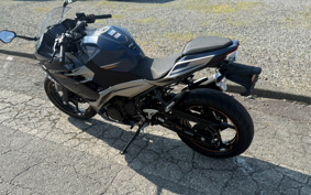 KAWASAKI NINJA 250 EX250Y