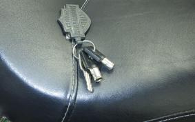 HARLEY FXDWG 1580 2015