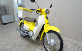 HONDA SUPER CUB110 JA44
