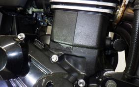 KAWASAKI ZRX1200 D 2015 ZRT20D