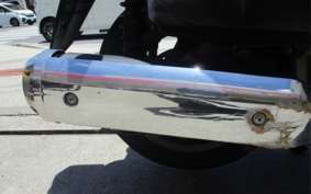 HONDA PHASE MF11