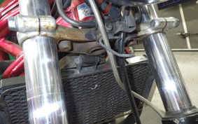 SUZUKI BANDIT 250 V Type 2019 GJ77A