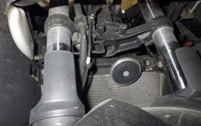 KAWASAKI NINJA 250 ABS 2024 EX250L