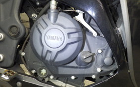 YAMAHA YZF-R25 2023 RG10J