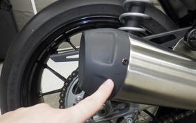 TRIUMPH SPEED TWIN 2024
