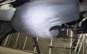 KAWASAKI Z125 PRO 2010 BR125H