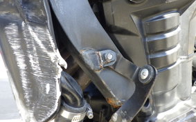 KAWASAKI Z1000 Gen.5 2019 ZXT00W