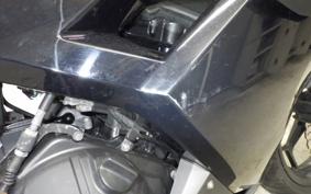 KAWASAKI NINJA 300 2013