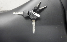 YAMAHA YZF-R25 2025 RG43J