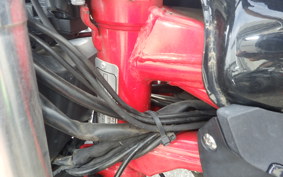 BENELLI TNT249S