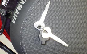 YAMAHA AXIS 125 TREET 2021 SE53J