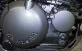 KAWASAKI SUPER SHERPA KL250G