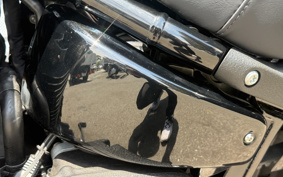 HARLEY FXLRST 2024 YXZ