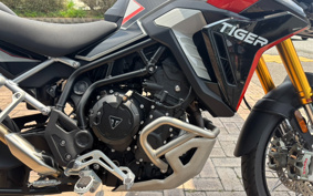 TRIUMPH TIGER 900 RALLY PRO 2025 TRC83D