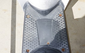 HONDA TODAY 2010 AF61