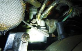 HONDA NOVIO 2021 PM50