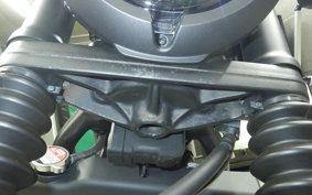 HONDA REBEL 250 S 2008 MC49