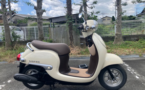 HONDA GIORNO AF77
