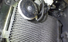SUZUKI Vｽﾄﾛｰﾑ250A 2025