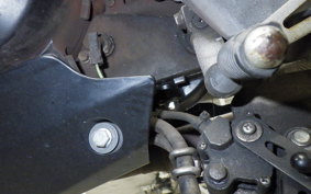 KAWASAKI Z250 SL BR250E