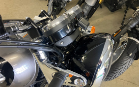 KAWASAKI W800 2025 EJ800E