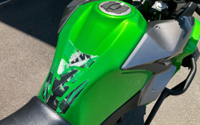KAWASAKI VERSYS-X 250 ABS LE250D