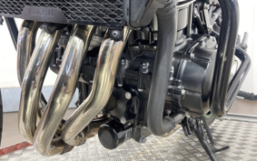 KAWASAKI Z900RS CAFE 2025 ZR900K