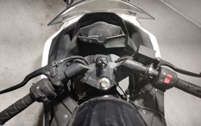 KAWASAKI NINJA 250 EX250L