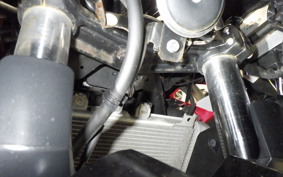 KAWASAKI NINJA 250 EX250P