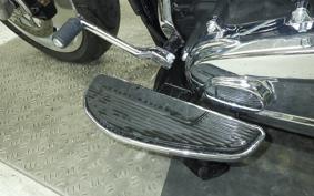 HARLEY FLFB1920 2025