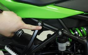 KAWASAKI ZX-4RR 2023 ZX400P