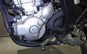 YAMAHA WR250X 2021 DG15J