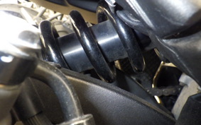 KAWASAKI ZX 10 NINJA ABS 2021 ZXT02L