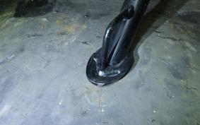 KAWASAKI ZX-4RRKRT 2024 ZX400P