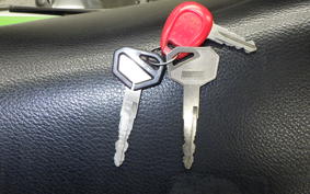 KAWASAKI SUPER SHERPA 2020 KL250G