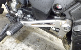 KAWASAKI NINJA 1000SX 2022 ZXT02K