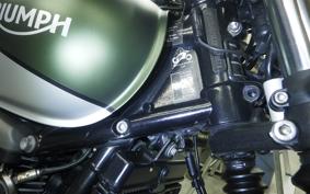 TRIUMPH STREET SCRAMBLER 2019