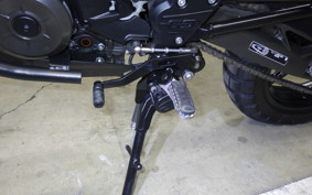BMW G310GS 2024