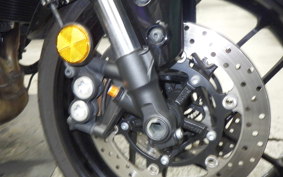 YAMAHA XSR900 GP 2024 RN96J