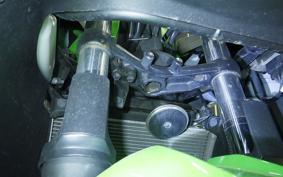 KAWASAKI NINJA 250 EX250L