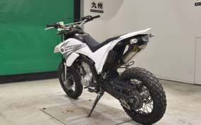 YAMAHA WR250X DG15J