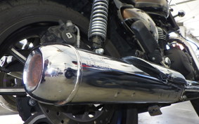 OTHER +ENFIELD ﾒﾃｵ350 2022