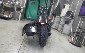 HARLEY XL883N 2019